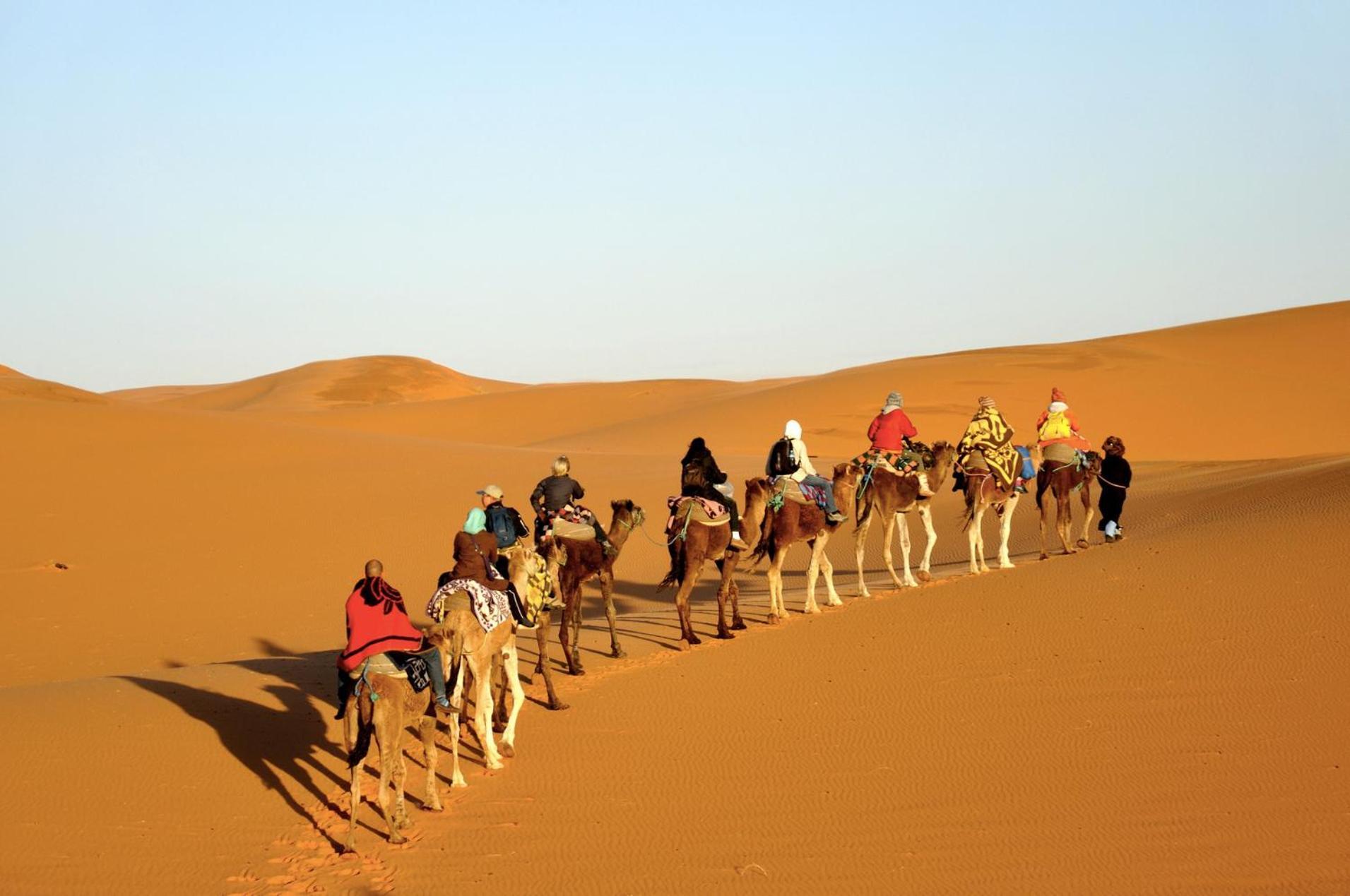 Sahara Camel Tours Camp Hotel Merzouga Buitenkant foto