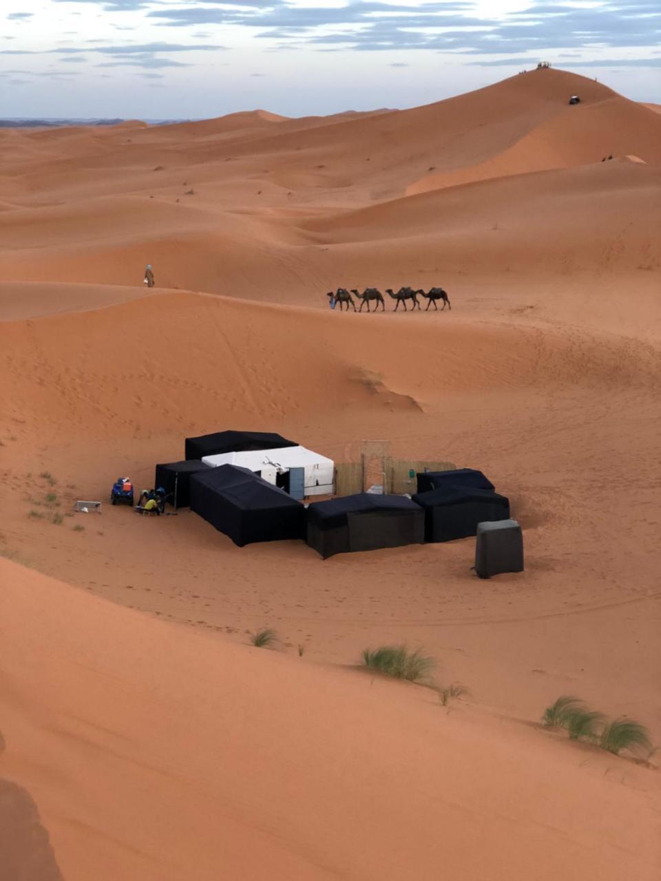 Sahara Camel Tours Camp Hotel Merzouga Buitenkant foto